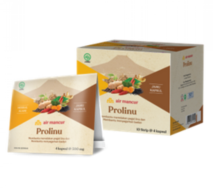 Air Mancur Kapsul Prolinu